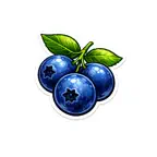 Blueberry Stickers iOS Icon