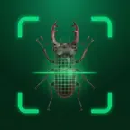Bug Identifier - Insect Scan iOS Icon