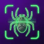 Spider Identifier - Bug Finder iOS Icon