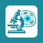 Pathology Exam Flashcards 2026 iOS Icon