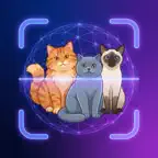 Identify Cat: Breed Detector iOS Icon