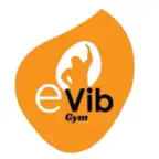 Evib iOS Icon