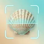 Shell Identifier: Rarity Value iOS Icon
