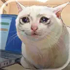 Meme Catcher iOS Icon