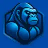 BlueKong Go