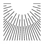 Together ISL iOS Icon