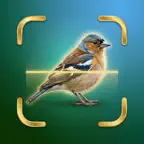 Bird Identifier - Species ID iOS Icon