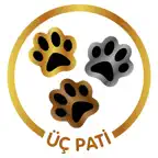 Üçpati Icon