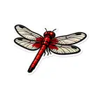 Dragonfly Stickers ° iOS Icon