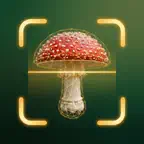 Mushroom Identifier - Fungi iOS Icon