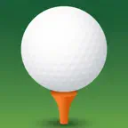 Golf Game Accountant icon