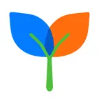 Expense Tracker: MySprout icon