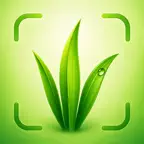 Grass Identifier: Weed & Plant iOS Icon