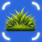 Grass Identifier: Grassly iOS Icon