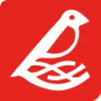 Ласточка Джами Icon
