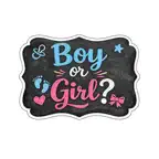 Gender Reveal Party Stickers iOS Icon