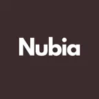 Nubia Pro iOS Icon