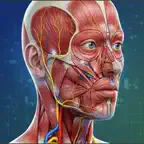 Complete Anatomy Learning 3D icon
