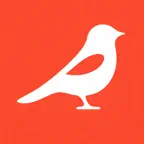 Magpie: Save Now. Work Later. iOS Icon