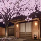 Escape Game:Sakura Kominka iOS Icon