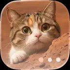 catever - ai cat photo & chat iOS Icon