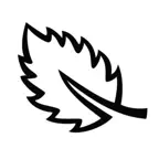 Mintus iOS Icon