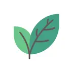 브랜치스 Branches Icon
