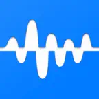 Vocal Remover AI : Split Music iOS Icon
