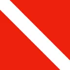 VizReport iOS Icon