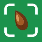 AI Seed Identifier - SeedID iOS Icon