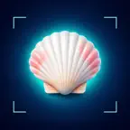 Sea Shell Identifier iOS Icon