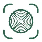 Wood Identifier - Timbr iOS Icon