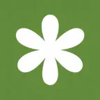 AI Video Generator - Curo iOS Icon