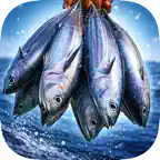 Prismatica Studio iOS Icon