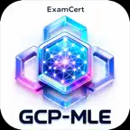 Machine Learning Engineer GCP iOS Icon