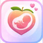 Ventria - Pregnancy Tracker iOS Icon