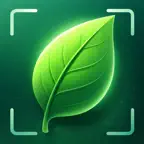 Plants Identify iOS Icon