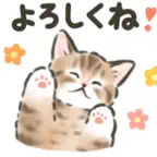 Cat Stickers Relax every day iOS Icon