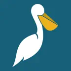 FACTS: St. Petersburg Primary iOS Icon