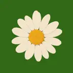 Daisy: Supplement Tracker iOS Icon