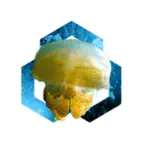Jelajah Berau iOS Icon