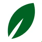 Alisea Icon