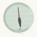 Hokku-歩句- iOS Icon