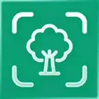 TreeID: Tree Scanner iOS Icon