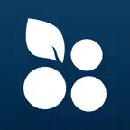 Grapevine’s First Baptist iOS Icon