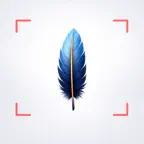 Feather Identifier iOS Icon