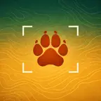 Animal Identifier iOS Icon
