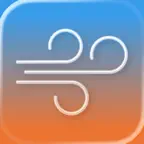 Just METAR icon