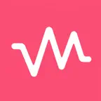 VoiceMate - 익명 목소리 채팅 iOS Icon