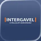 Intergavel iOS Icon